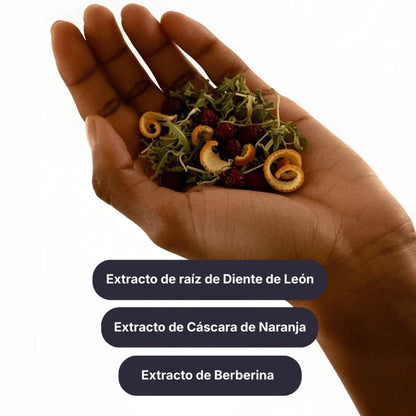 Trío Parches Metabólicos - LOECARE™ (90 Parches)